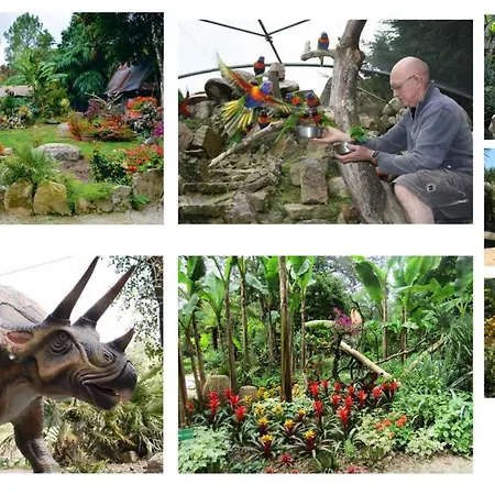 Excallibur, Aux Portes De Broceliande Carentoir